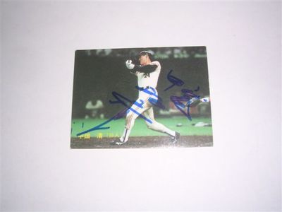 【希少カード】プロ野球チップス 1991〜1995年 希少カード】プロ野球チップス 1991〜1995年 （カルビープロ野球