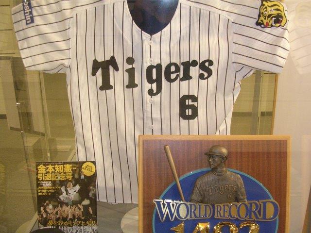 f:id:t-1tk23:20190205215735j:plain