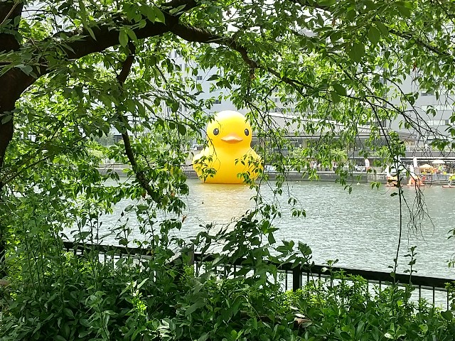 f:id:t-hiyan:20200816170527j:image