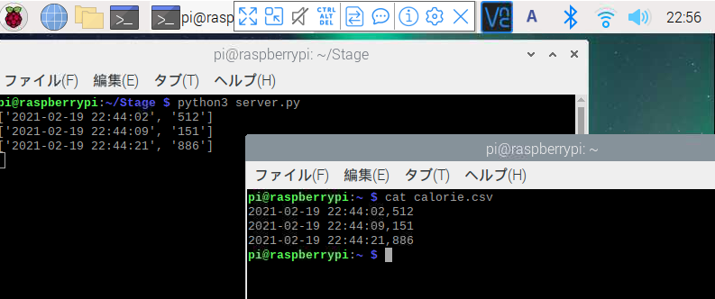 f:id:t-hom:20210219225648p:plain
