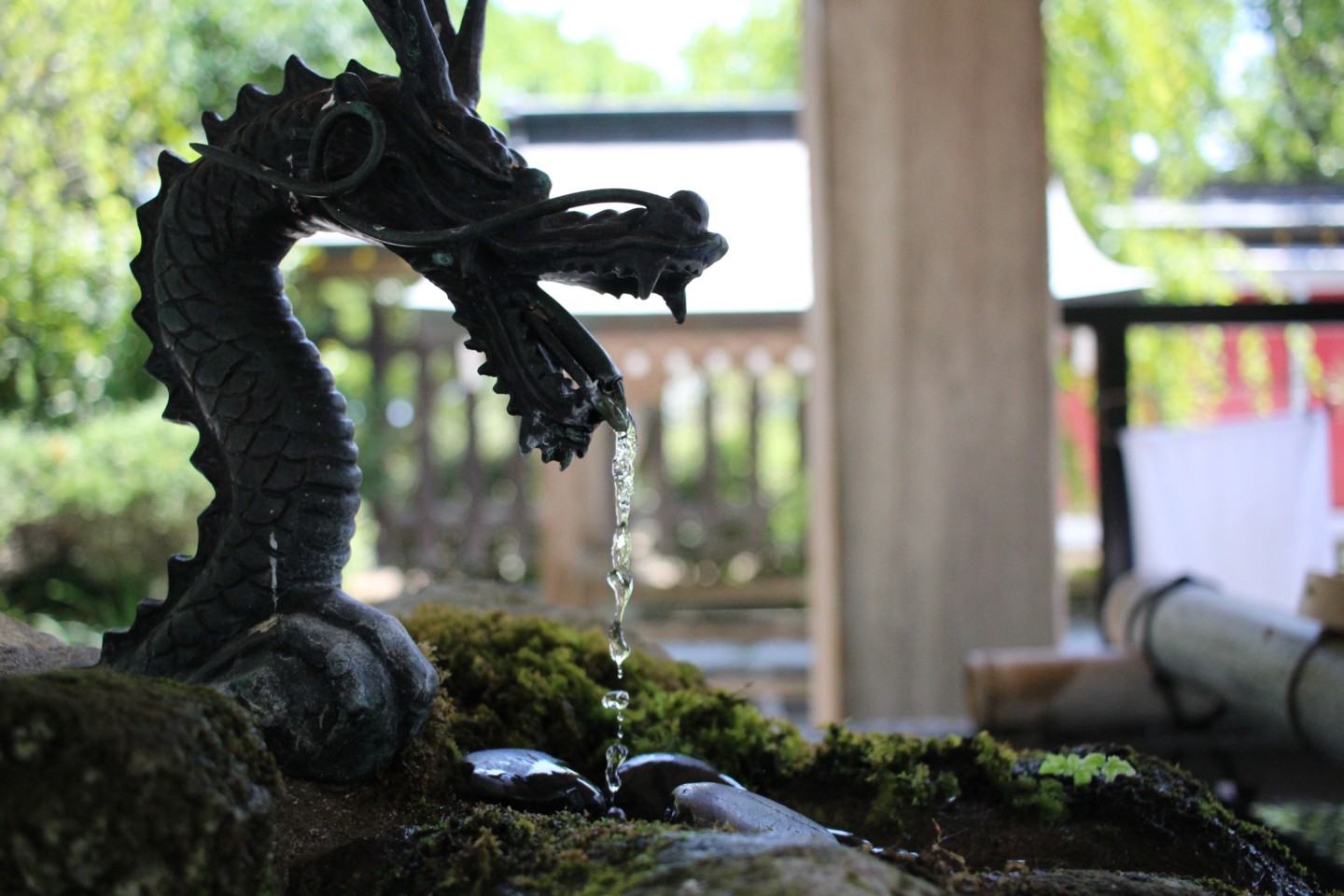 築上郡築上町高塚 綱敷天満宮の写真2