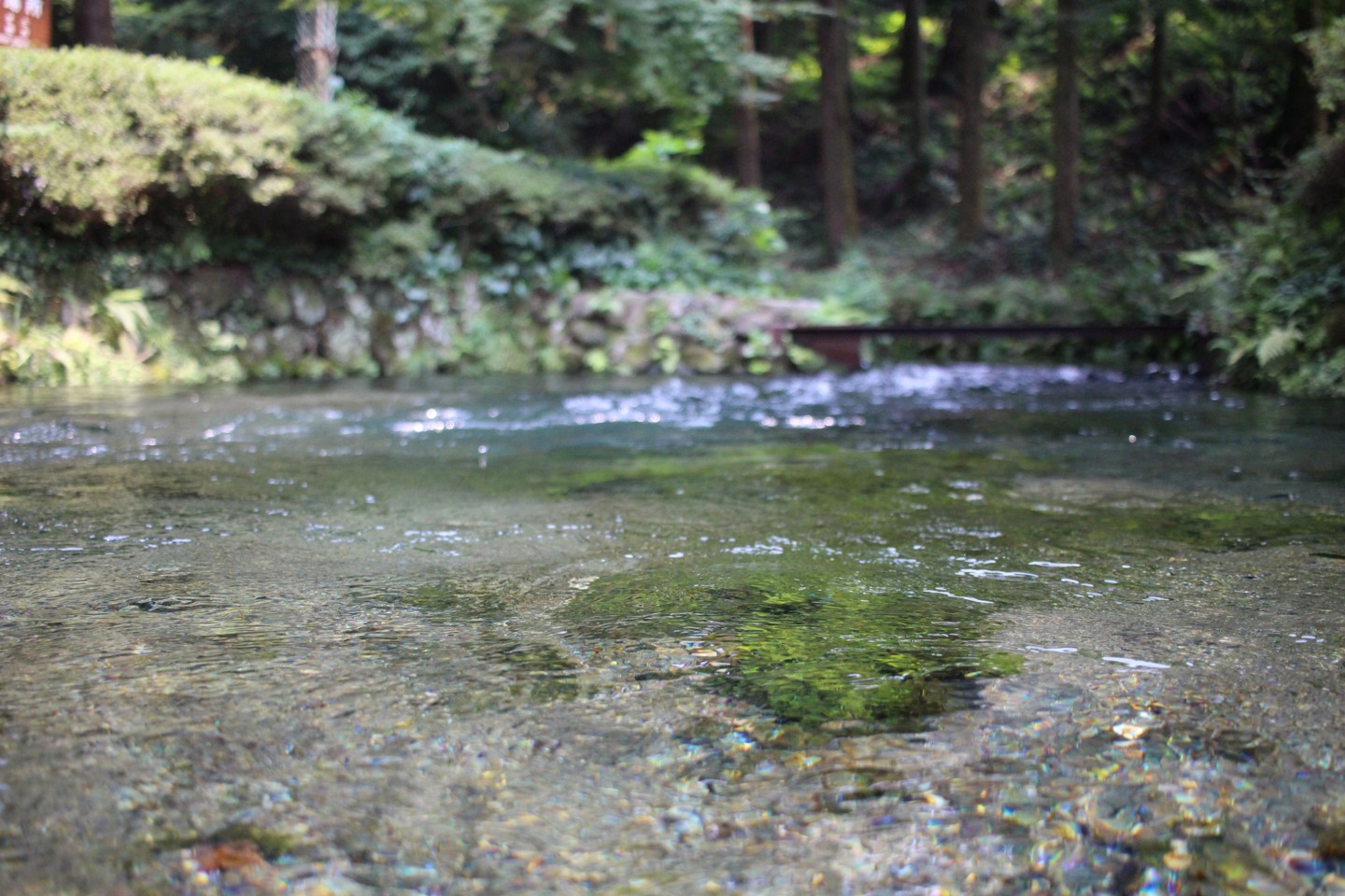 白川水源の写真3 白川水源の写真3