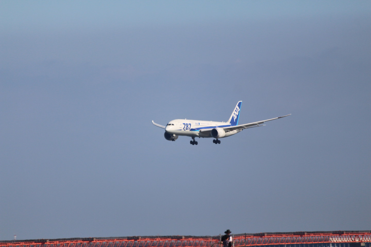 羽田空港に着陸するANA ボーイング787の写真
