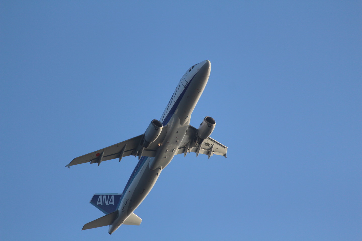 羽田空港からと離陸するANAの飛行機の写真
