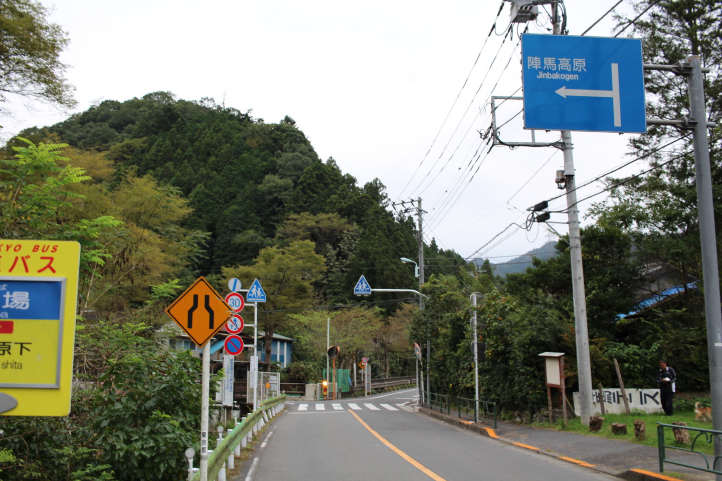 入山峠と和田峠の分岐の写真