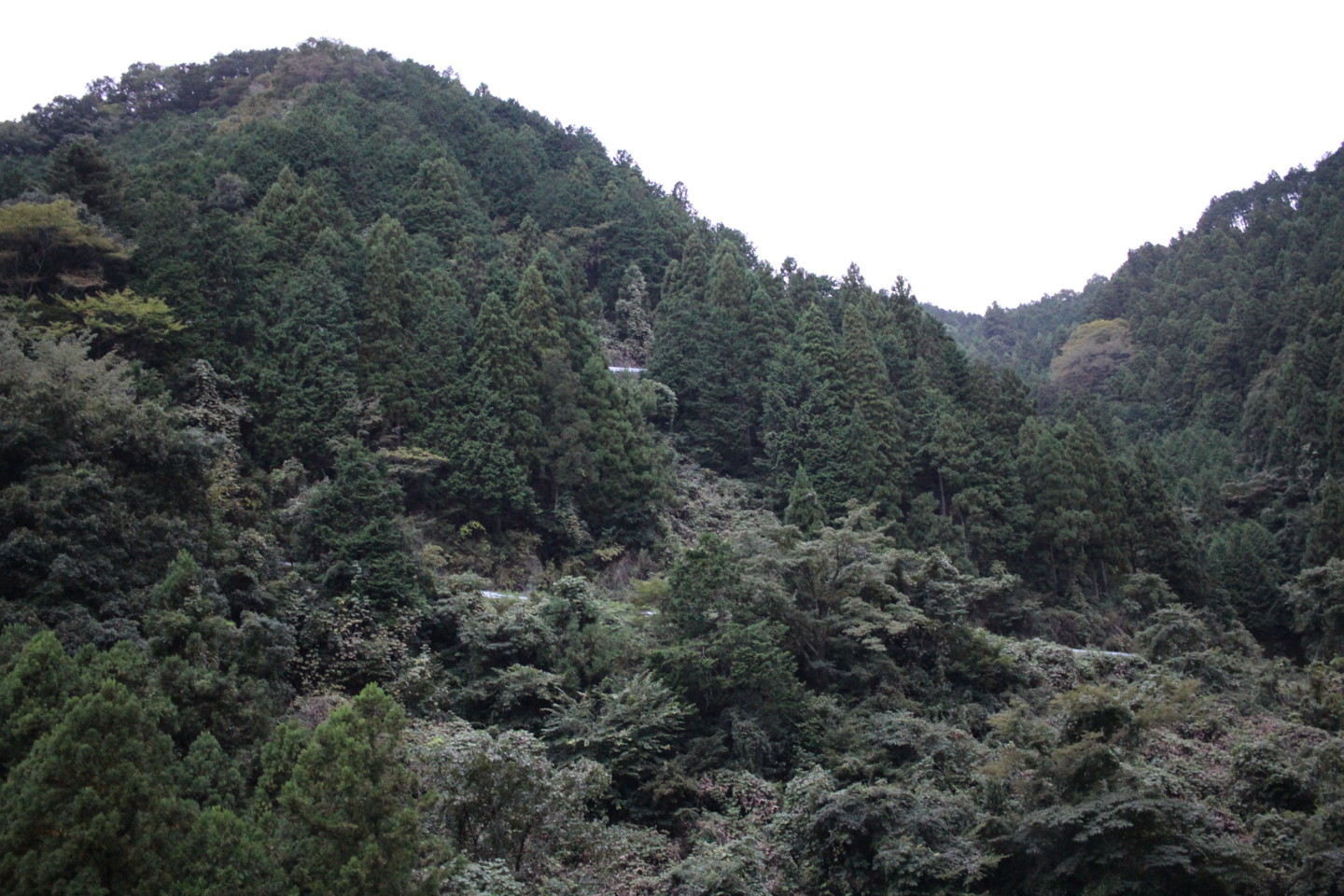 入山峠の景色の写真