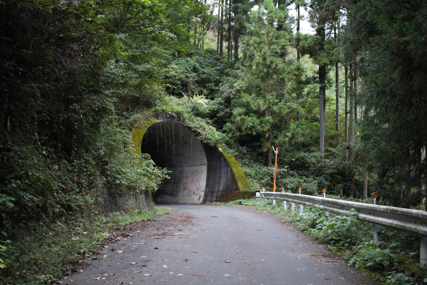 入山峠のトンネル前の写真