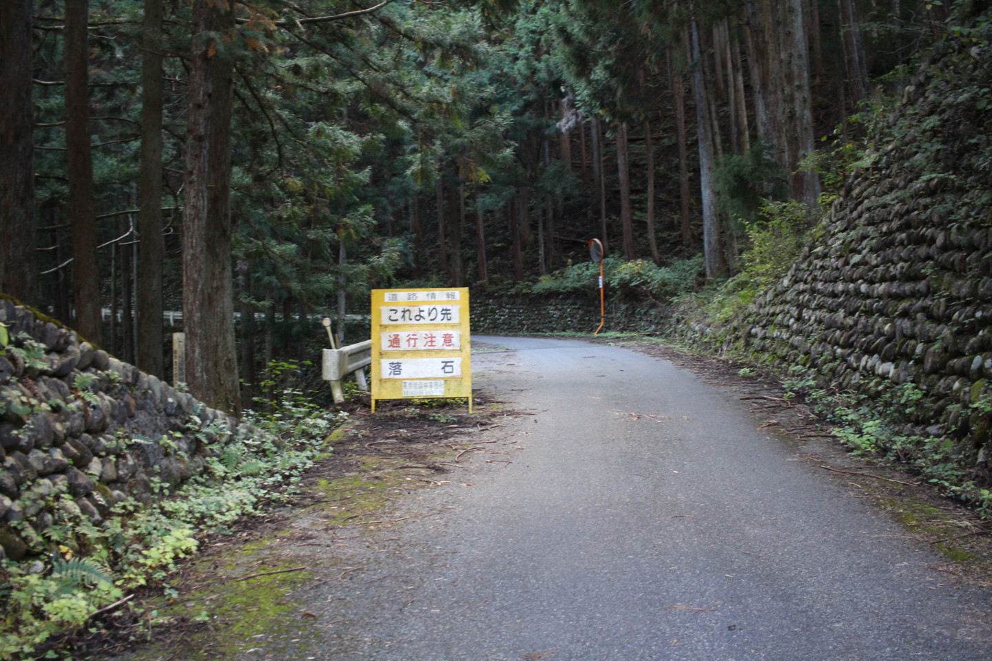 大ダワ峠・鋸山林道の写真1