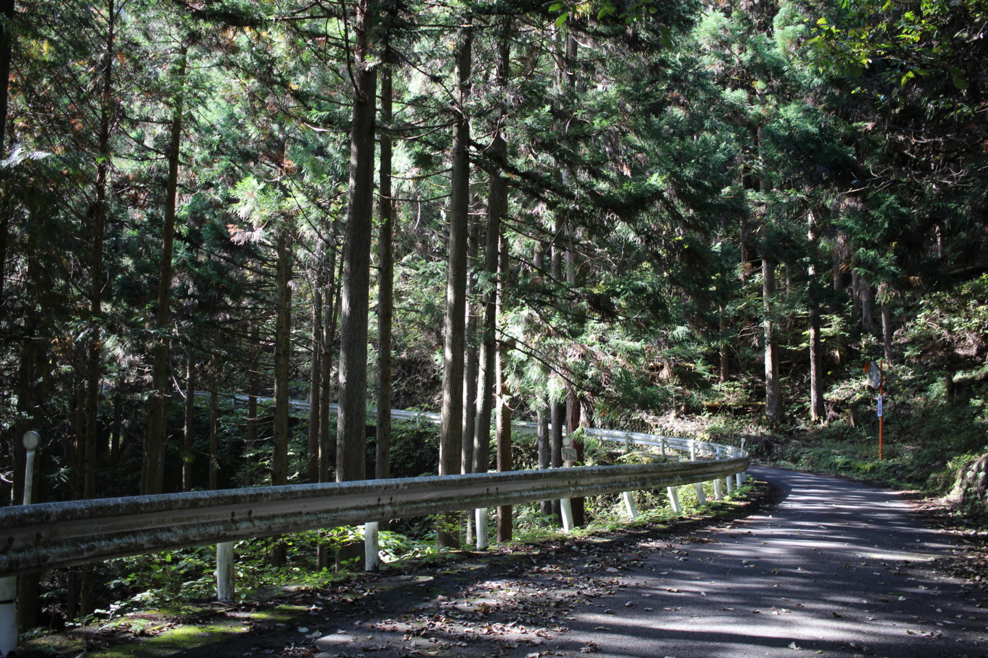 大ダワ峠・鋸山林道の写真3
