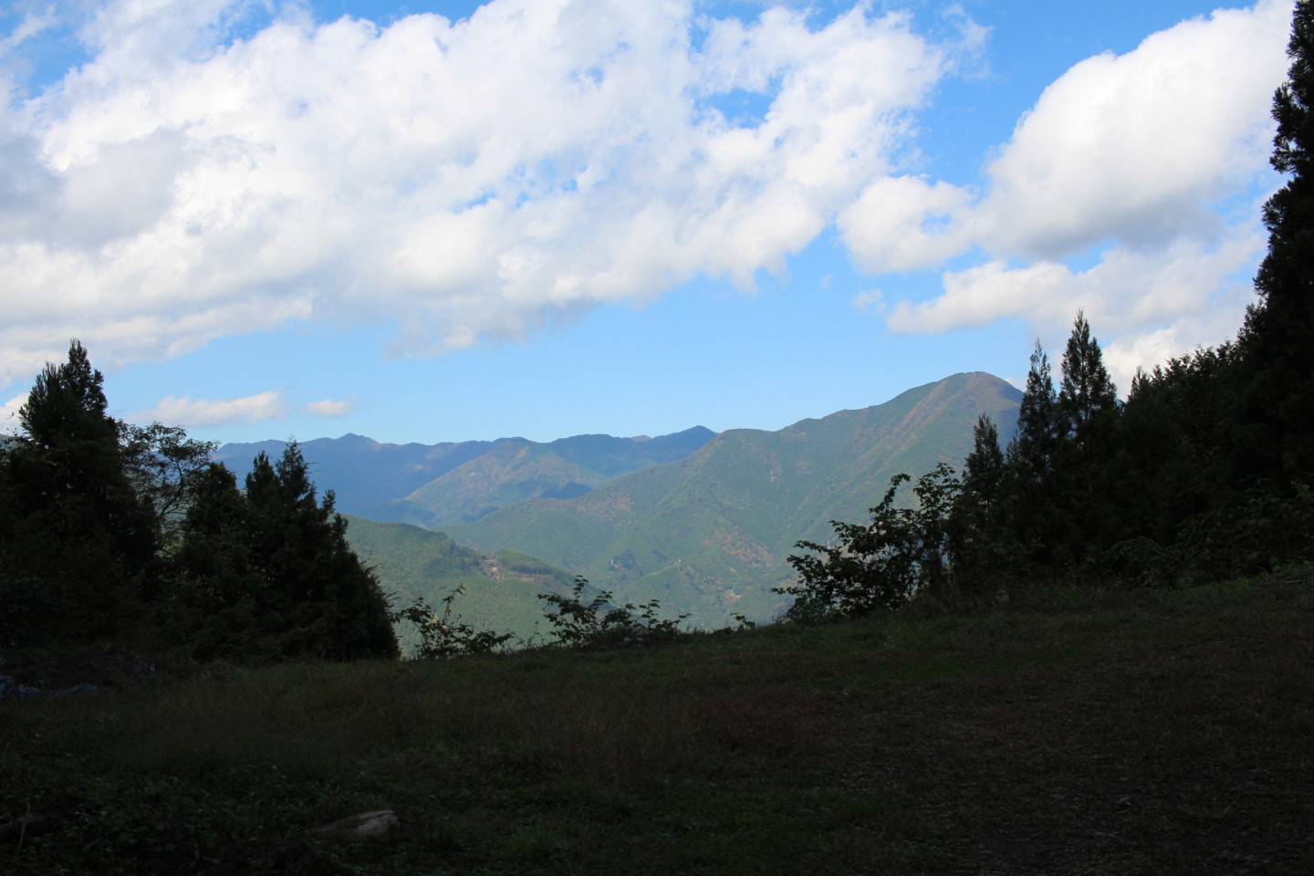 大ダワ峠・鋸山林道の写真4