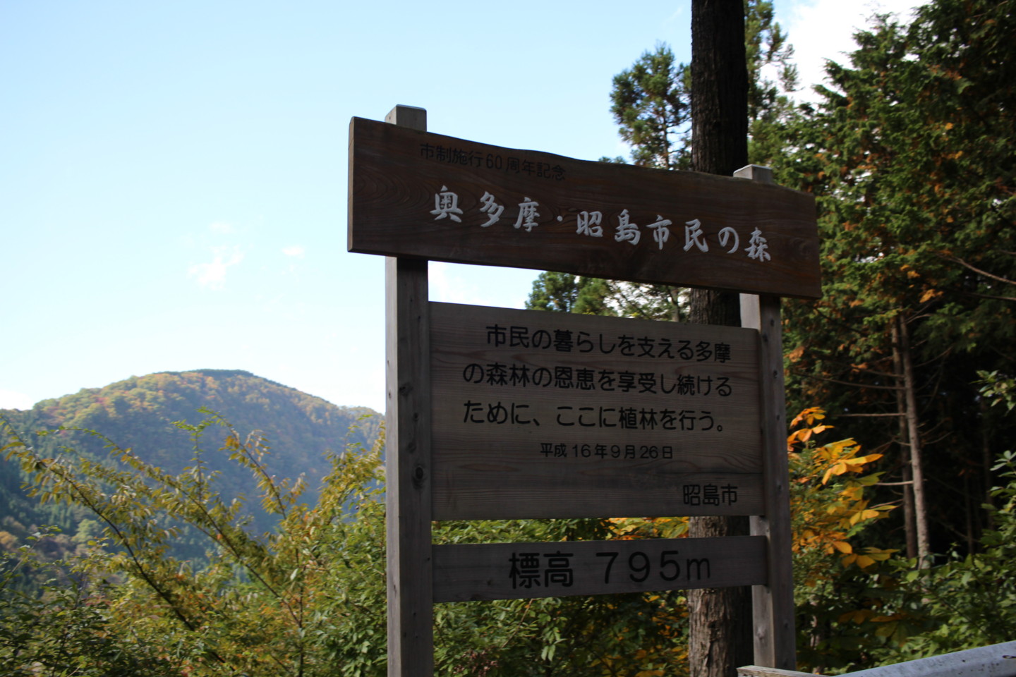 大ダワ峠・鋸山林道の写真6