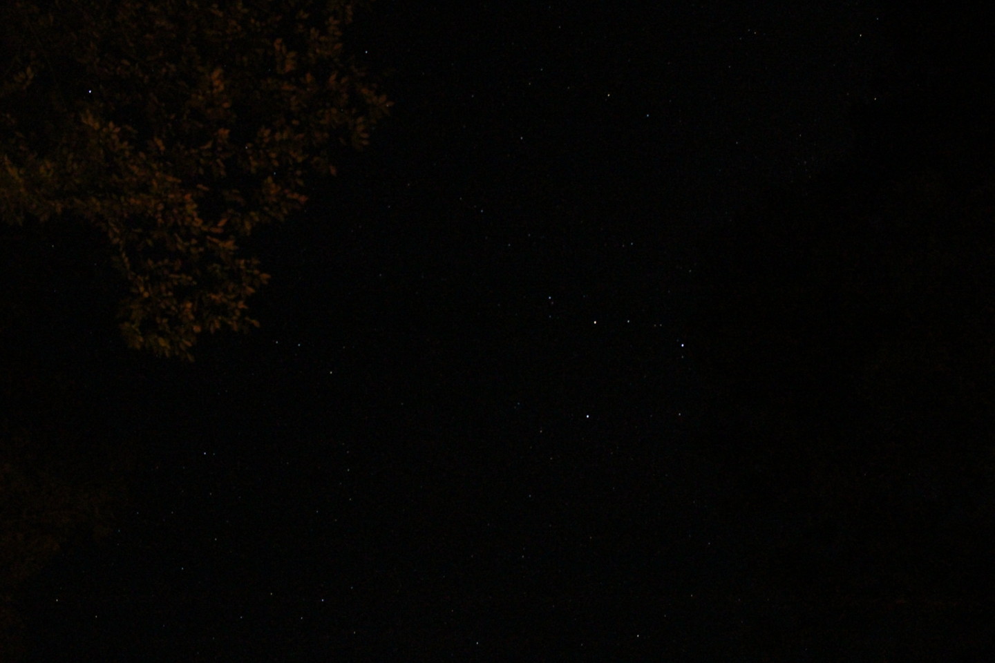 道志の森キャンプ場にて星空の写真