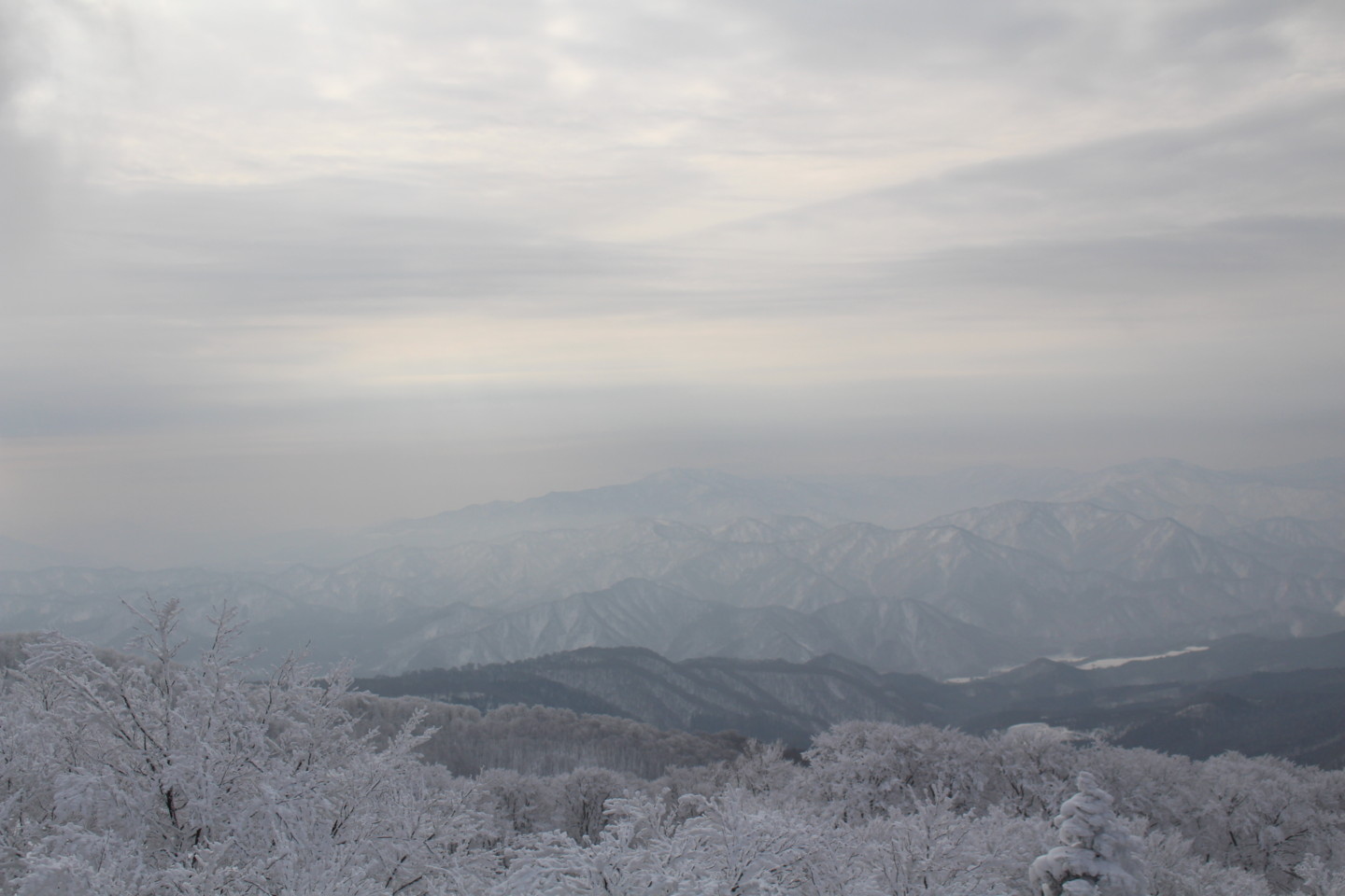 森吉山阿仁スキー場の霧氷の写真5