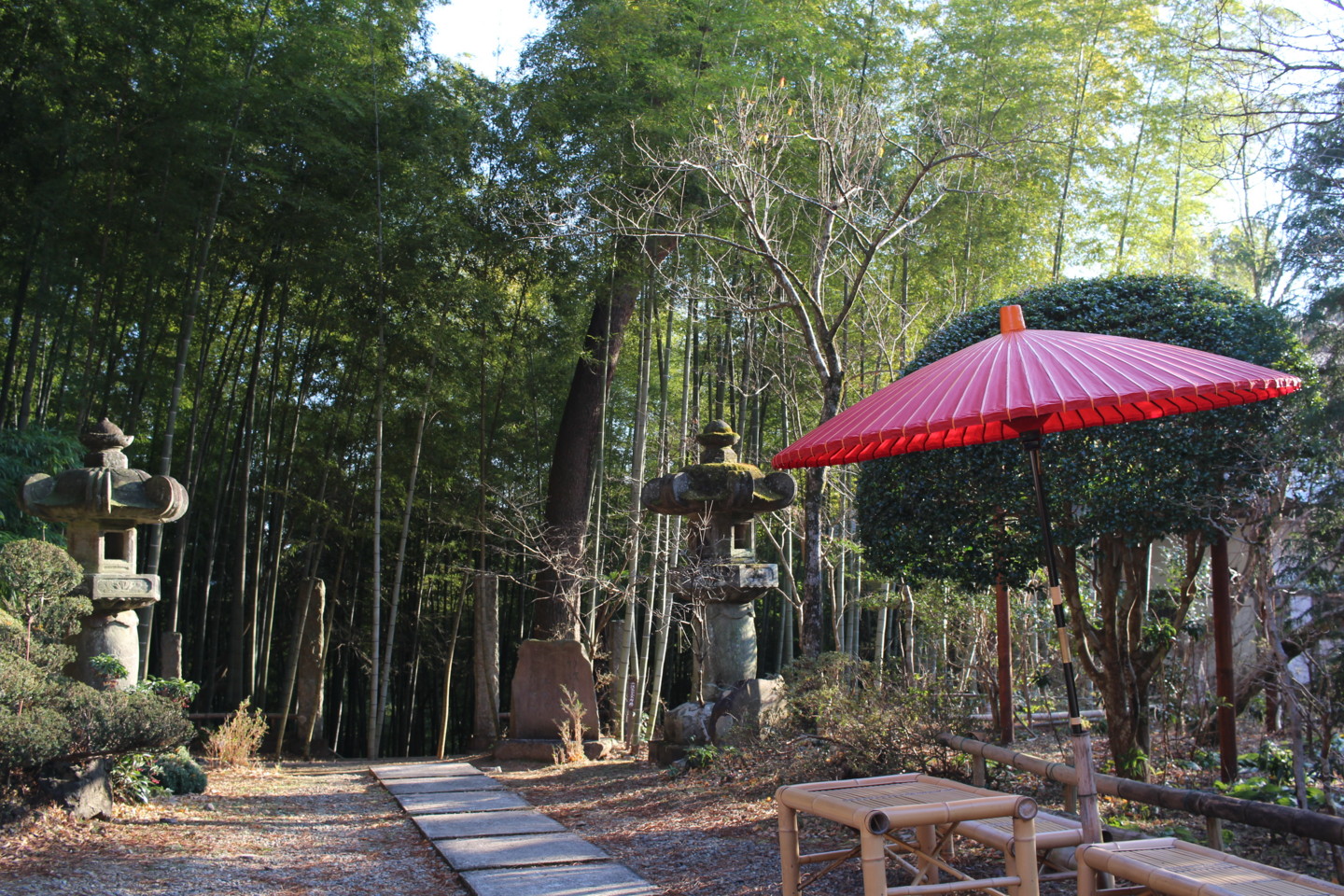飯能市 竹寺の写真2