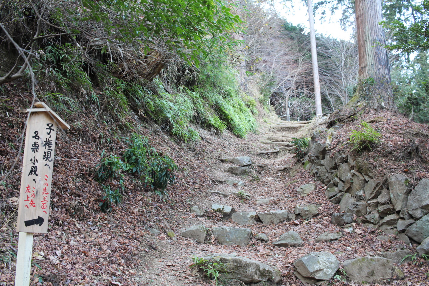 飯能市 竹寺から子ノ権現までの道の写真