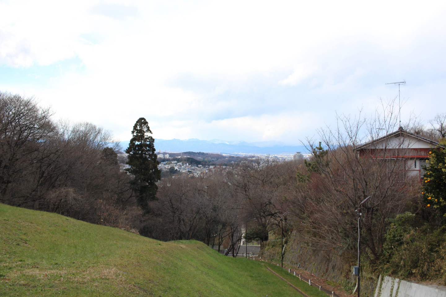 都立桜ヶ丘公園からの景色の写真1 都立桜ヶ丘公園からの景色の写真1