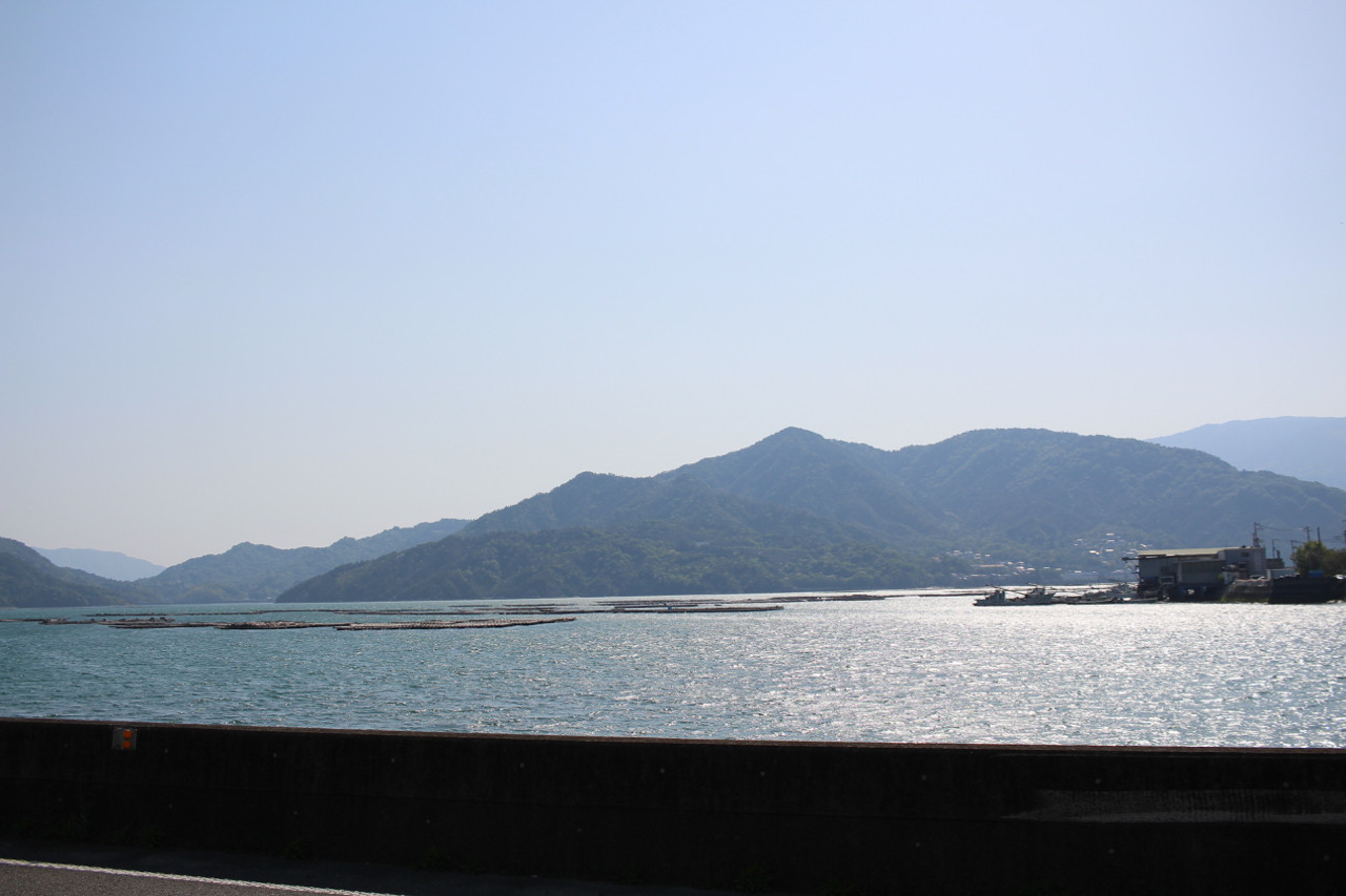 呉市 柏島あたりの牡蠣養殖場の写真