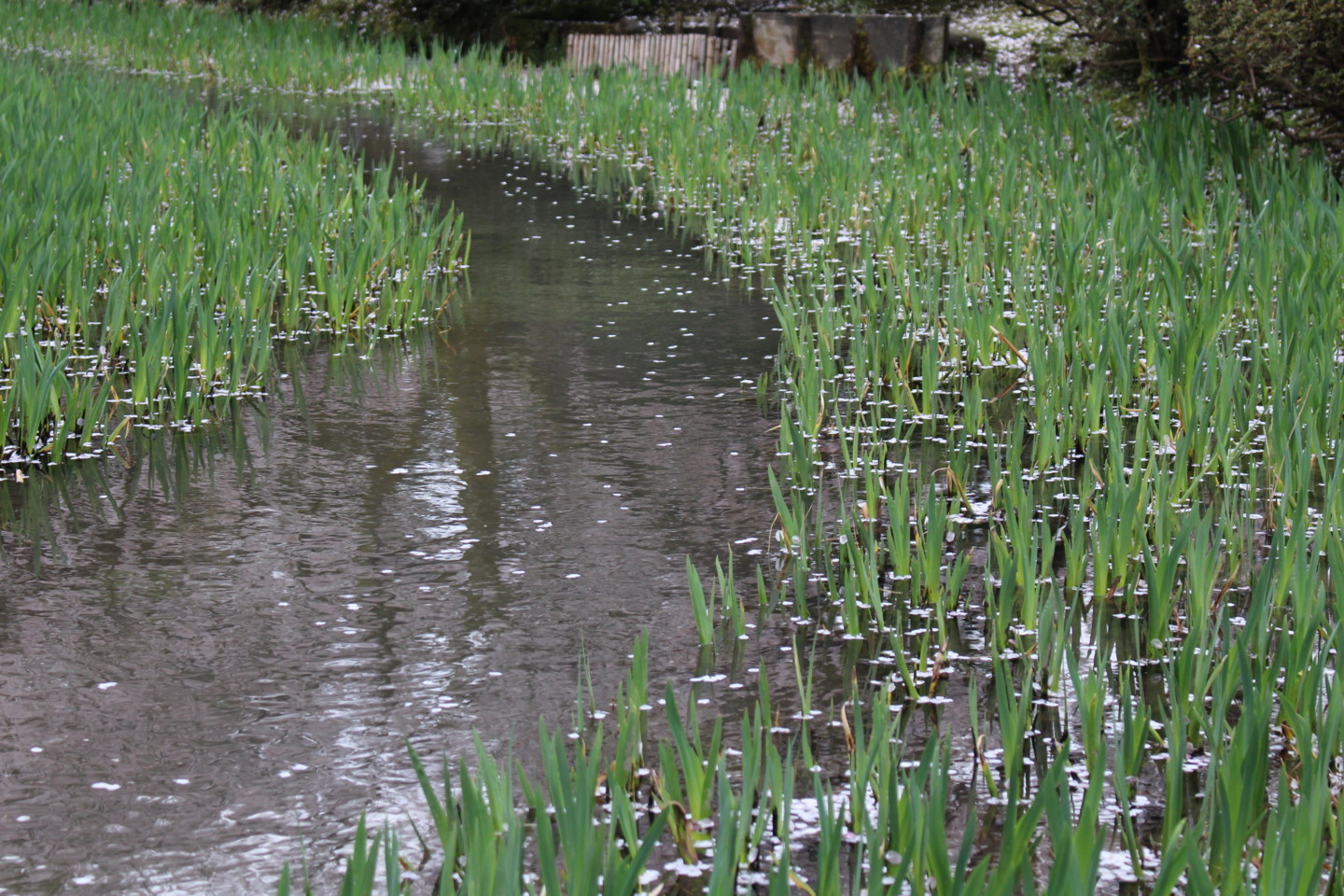 f:id:t-horikiri:20180407170246j:plain f:id:t-horikiri:20180407170246j:plain