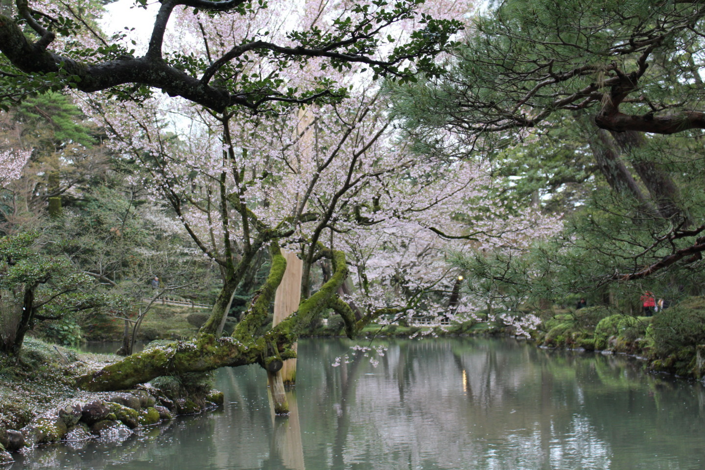 f:id:t-horikiri:20180407171102j:plain f:id:t-horikiri:20180407171102j:plain