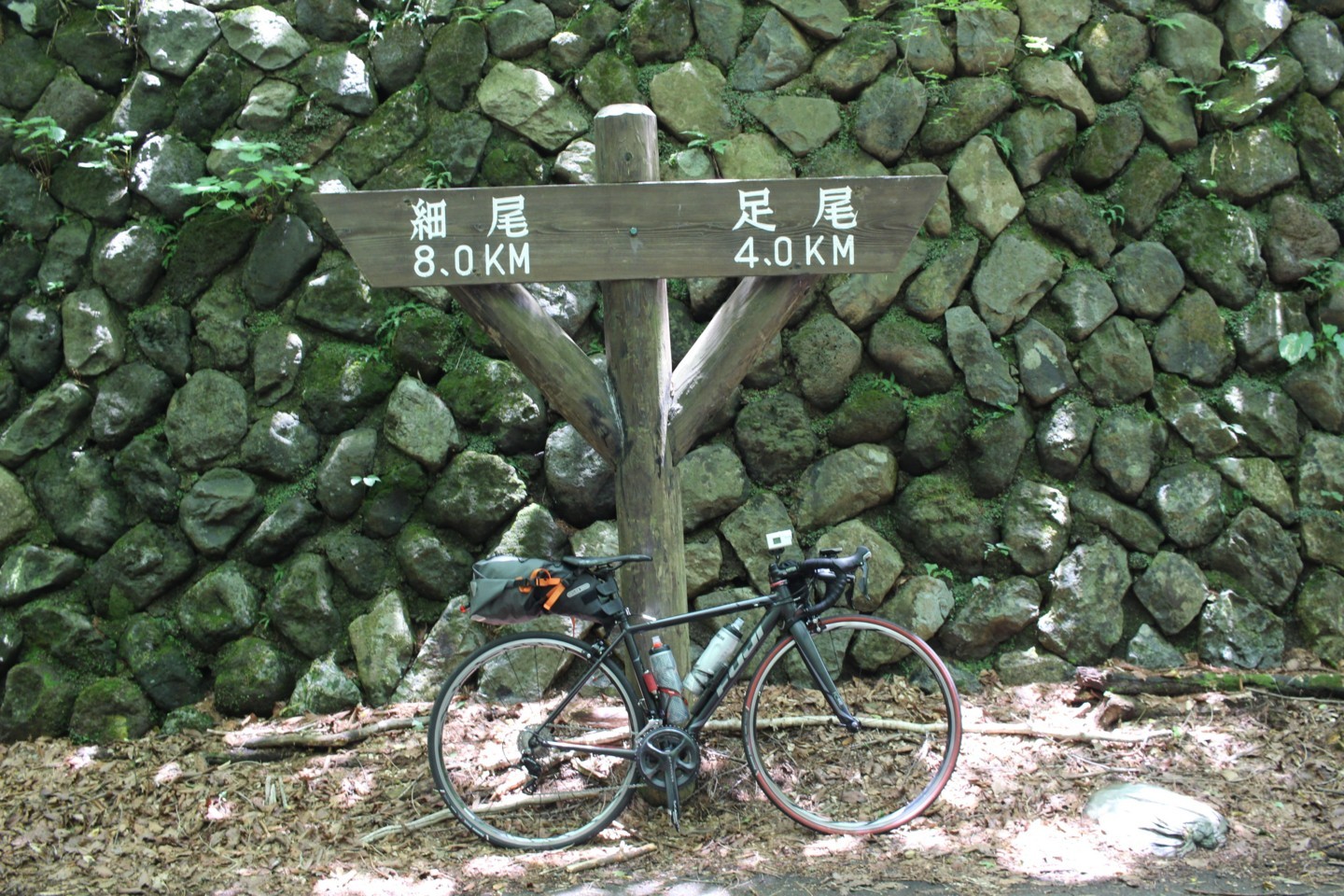 f:id:t-horikiri:20180630113138j:plain f:id:t-horikiri:20180630113138j:plain
