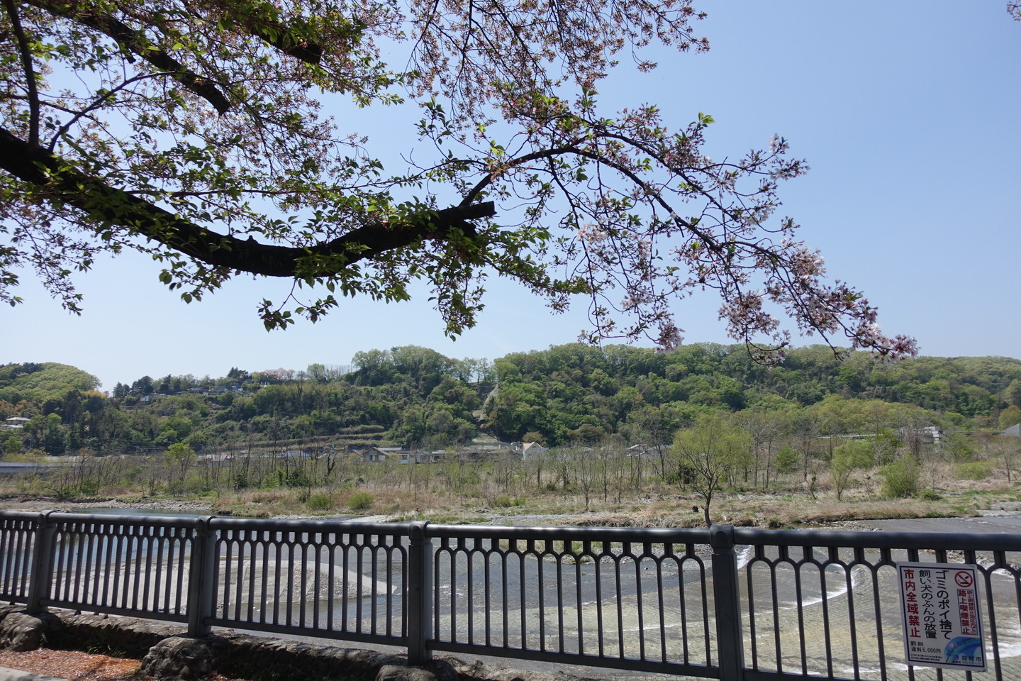 f:id:t-horikiri:20190420115949j:plain