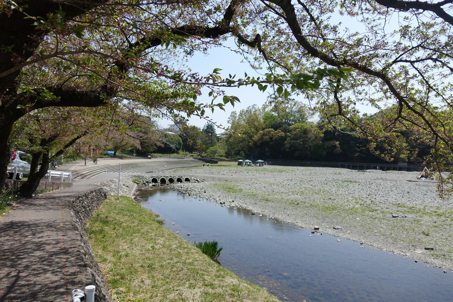 f:id:t-horikiri:20190420124826j:plain