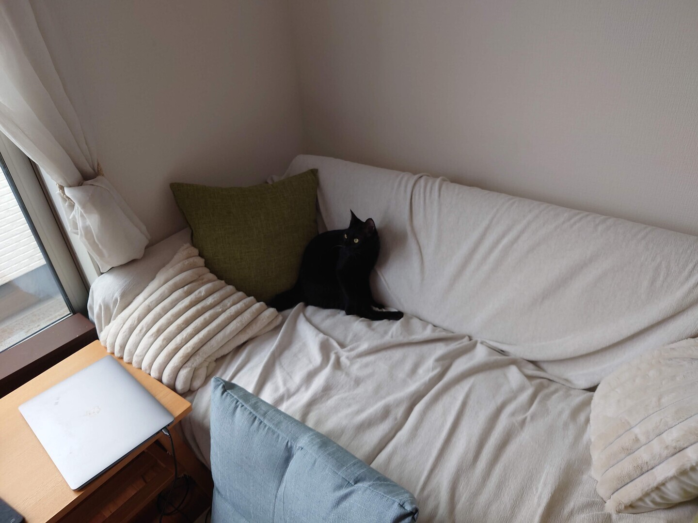 コアラ ソファーベッド CUSHY クイーン