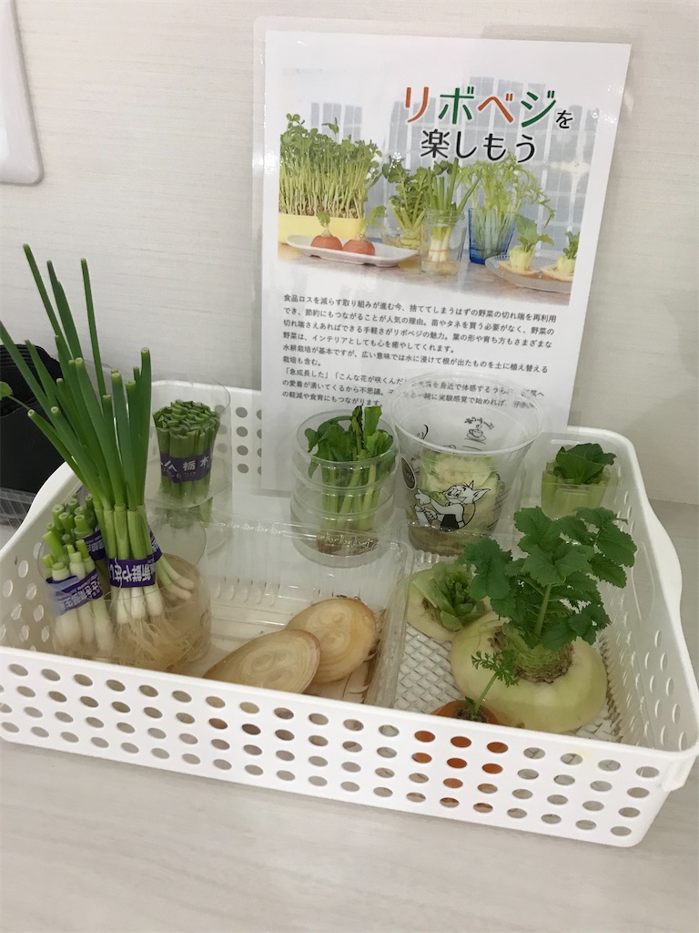 f:id:t-i1995:20210515085306j:image