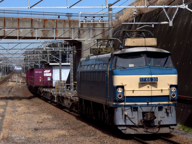 IMGP3500