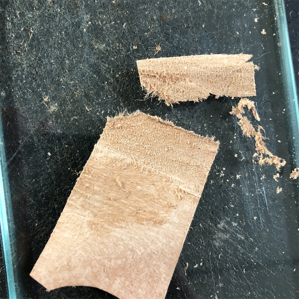 f:id:t-kleft:20200427114554j:image