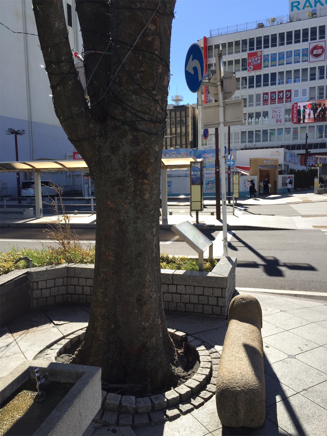 f:id:t-koku-0822-0218:20190217033738j:image f:id:t-koku-0822-0218:20190217033738j:image
