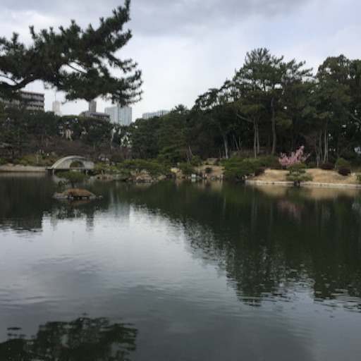 f:id:t-maiko0110:20170309133052j:image f:id:t-maiko0110:20170309133052j:image