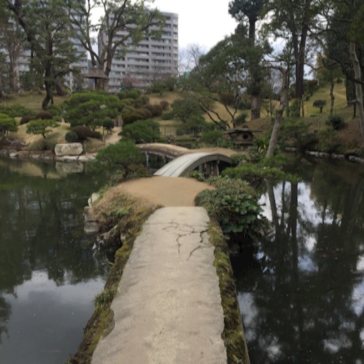 f:id:t-maiko0110:20170309133106j:image f:id:t-maiko0110:20170309133106j:image
