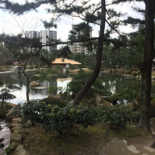 f:id:t-maiko0110:20170309133854j:image f:id:t-maiko0110:20170309133854j:image