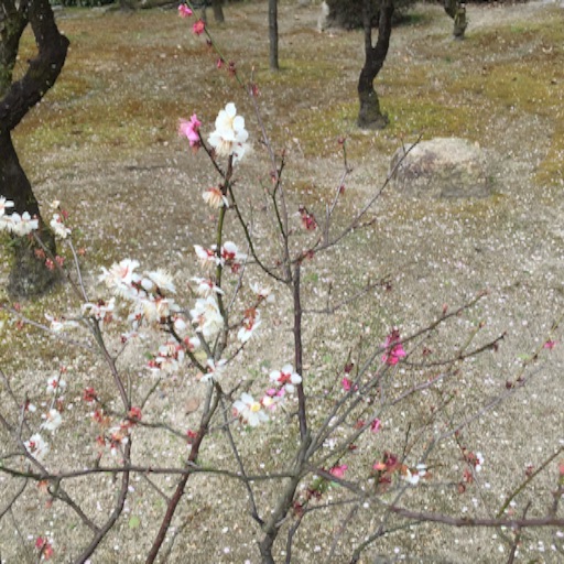 f:id:t-maiko0110:20170309134315j:image f:id:t-maiko0110:20170309134315j:image