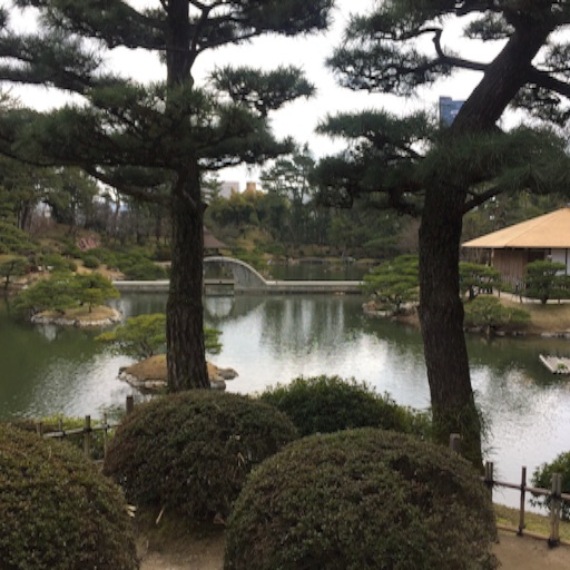 f:id:t-maiko0110:20170309134452j:image f:id:t-maiko0110:20170309134452j:image