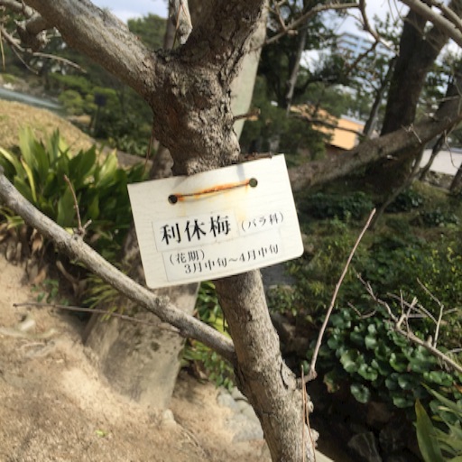 f:id:t-maiko0110:20170309134731j:image f:id:t-maiko0110:20170309134731j:image