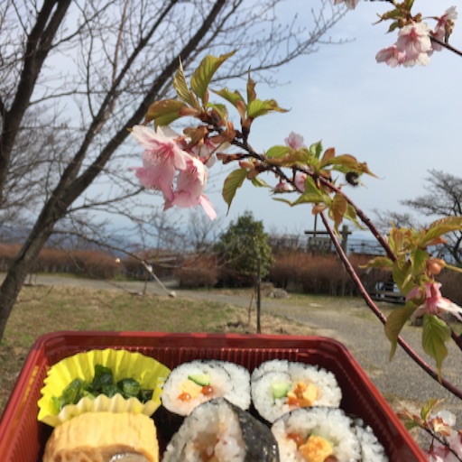 f:id:t-maiko0110:20170331210317j:image f:id:t-maiko0110:20170331210317j:image