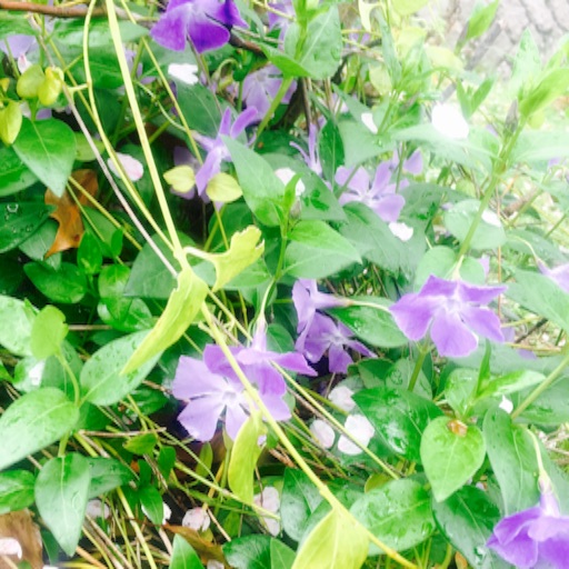 f:id:t-maiko0110:20170411170214j:image f:id:t-maiko0110:20170411170214j:image