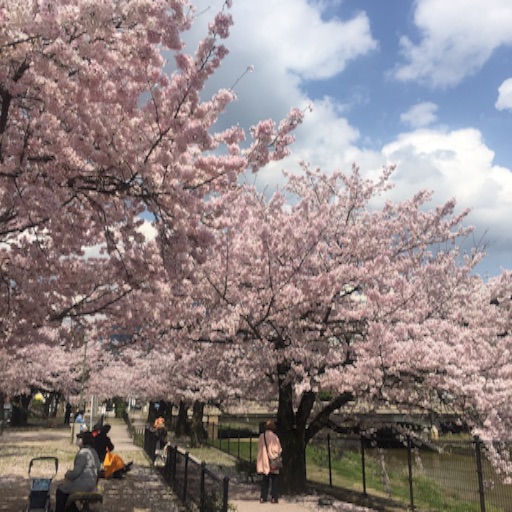 f:id:t-maiko0110:20170413211121j:image f:id:t-maiko0110:20170413211121j:image
