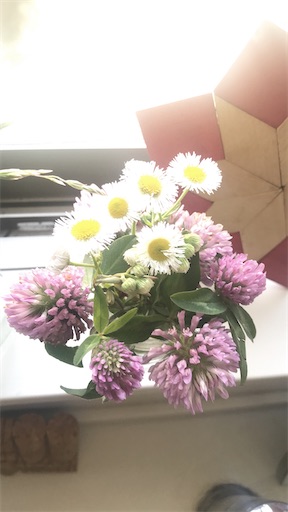 f:id:t-maiko0110:20200511111314j:image