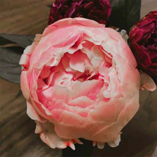 f:id:t-maiko0110:20210518234828j:image