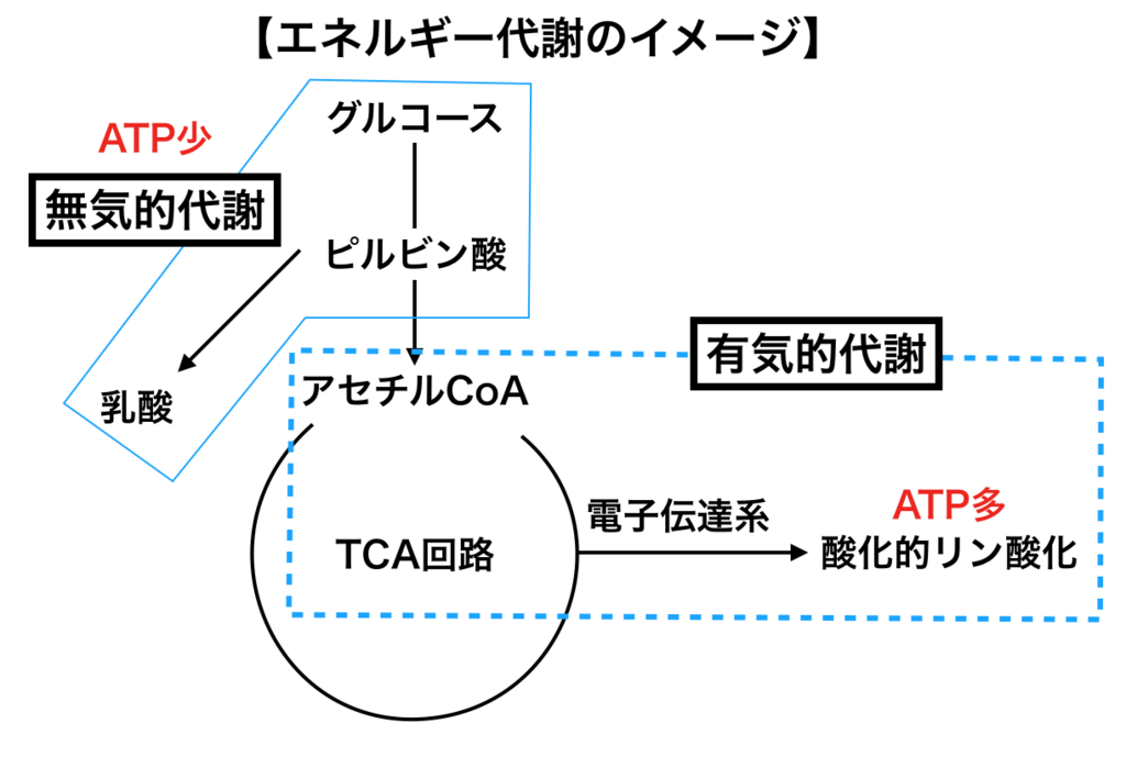 f:id:t-memo:20190122175433p:plain