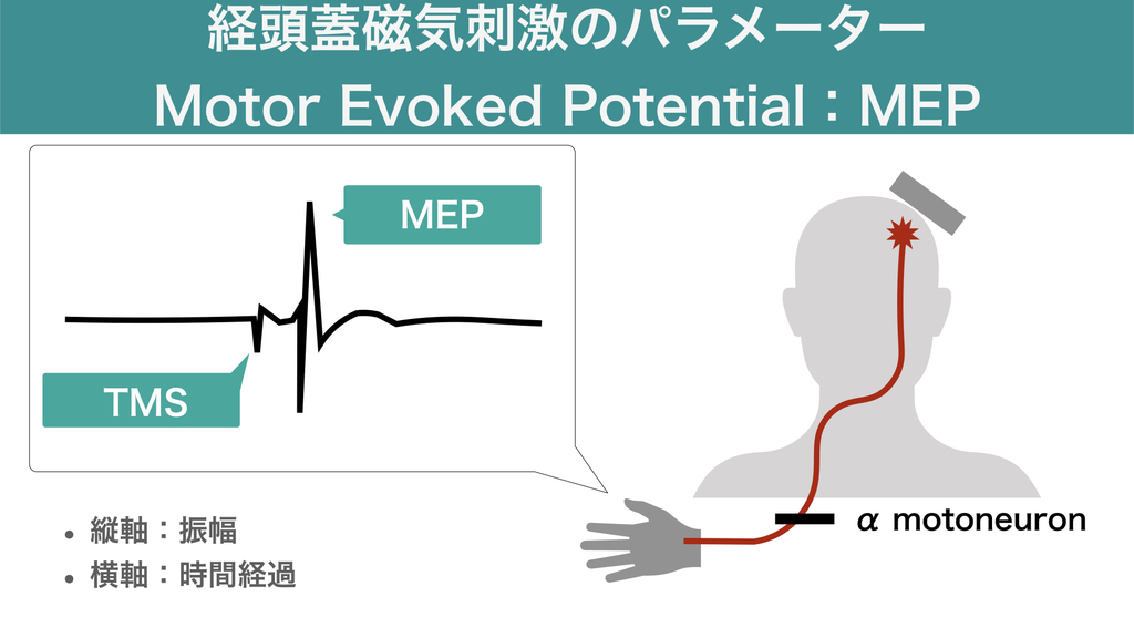 テストの種類と何が起こるか