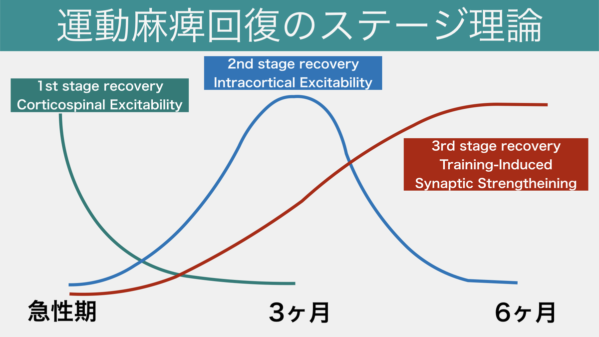サクッと紹介 運動麻痺回復のステージ理論 概要編 田舎の理学療法士