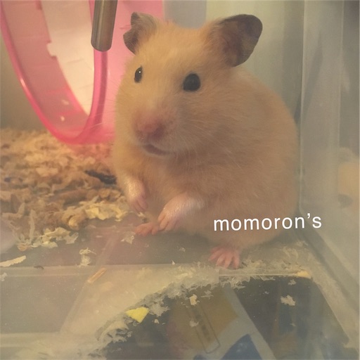 f:id:t-momoron:20190710140138j:image f:id:t-momoron:20190710140138j:image