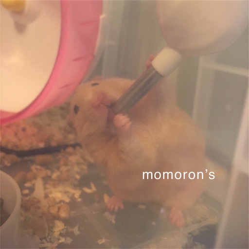 f:id:t-momoron:20190710140141j:image f:id:t-momoron:20190710140141j:image