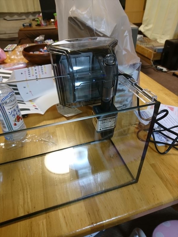 f:id:t-nrm:20171204010553j:plain