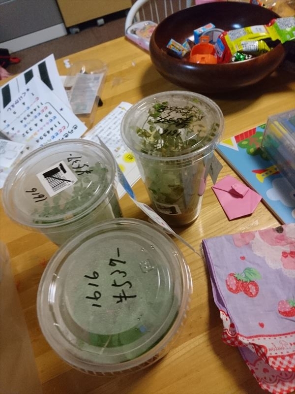 f:id:t-nrm:20171204011031j:plain