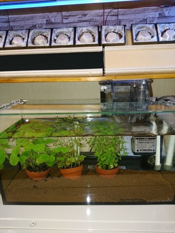 f:id:t-nrm:20171204012149j:plain